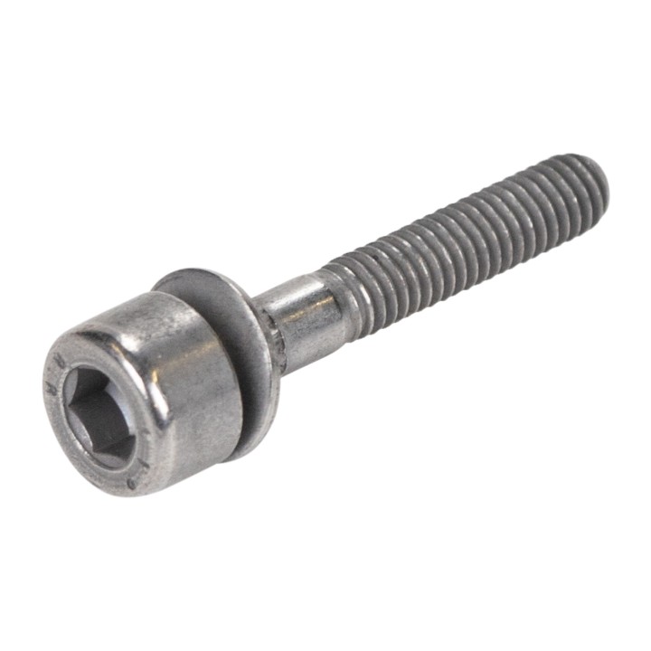 Screw with washer 46543231