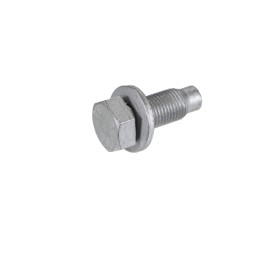 Parafuso com anilha para junta de suporte 11616924