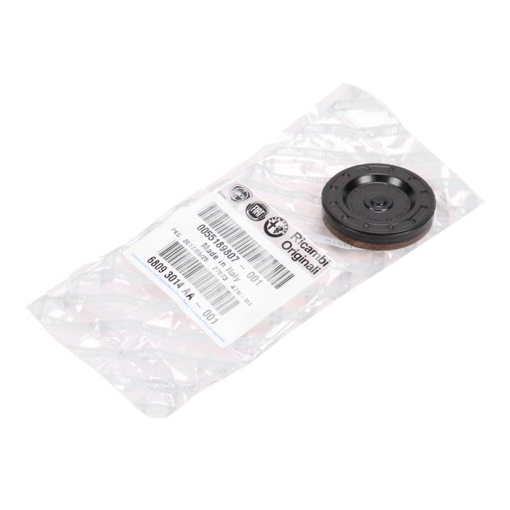 Stud bolt, plug, cover cap 55189807