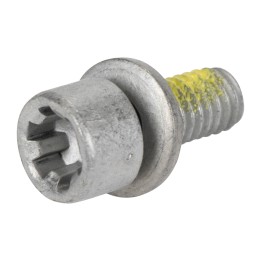Tornillo con arandela 55246559