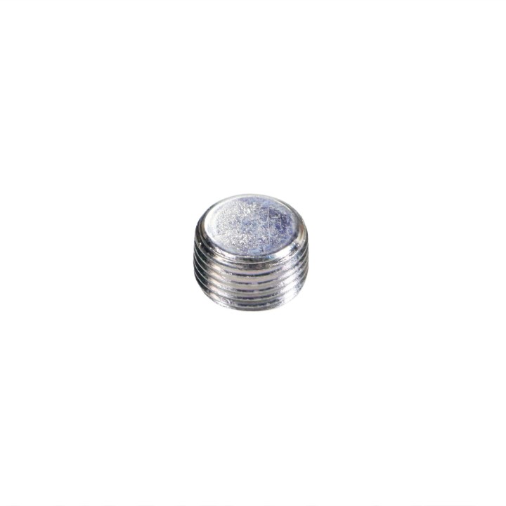 Plugs 10269701