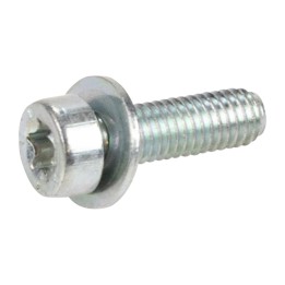 Parafuso com anilha 73502574