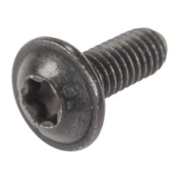 Screw 6924H2