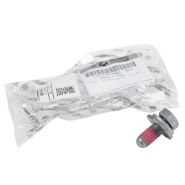 Parafuso com anilha para o eixo dianteiro 1313397080