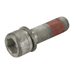 Screw with washer for front brake caliper 440527