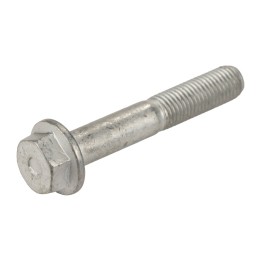 Schraube mit Scheibe M10x60 16289134