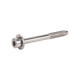 Screw for the tailgate 1363501080