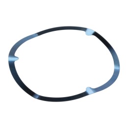 Retaining ring for the gearbox 7713198