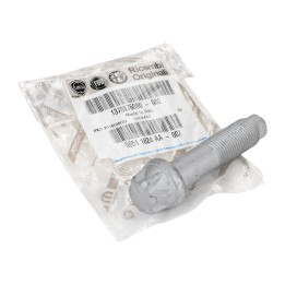 Screw for the shock absorber 1378876080