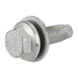 Screw 50520118
