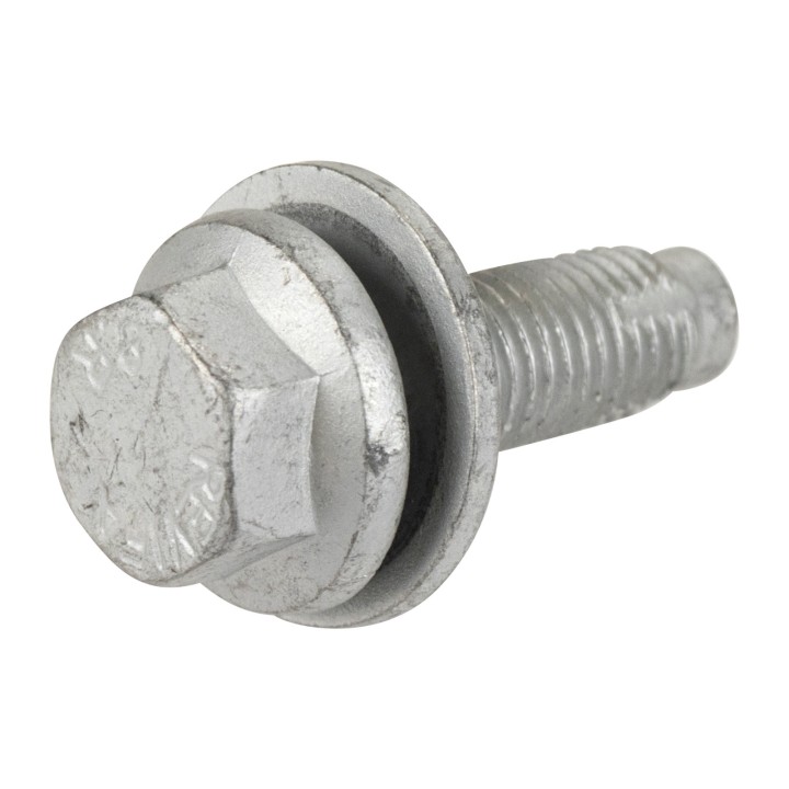 Screw 50520118