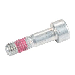 Heavy-duty bolt 500328131