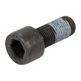 Flywheel bolt 71741064