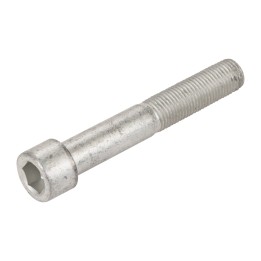 Screw for the front axle 14819134