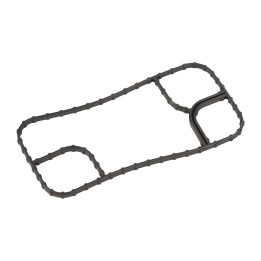 Dichtung Wärmetauscher 50050982
