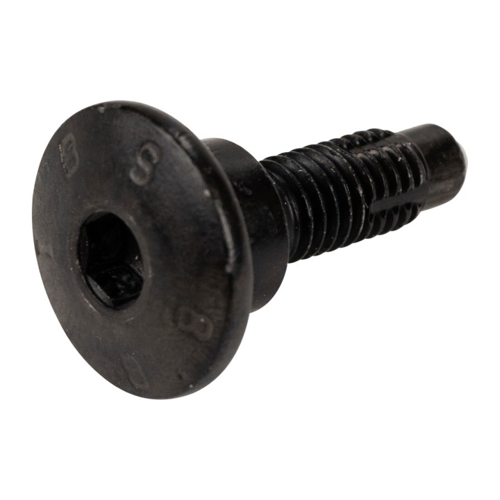 Screw 7780963