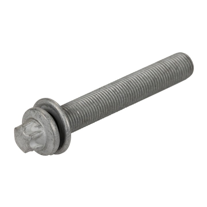 Expansion bolt 4892867