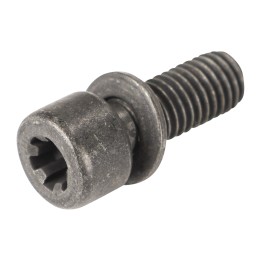 Screw for the clutch 46348664