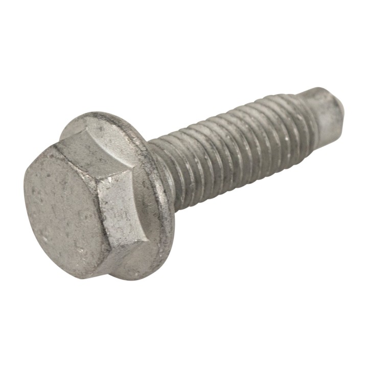 Screw 18752524