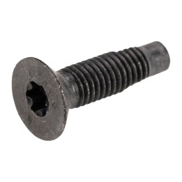 Screw for the door hinge 52133718