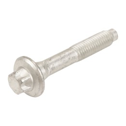 Tornillo para el brazo triangular 60692921
