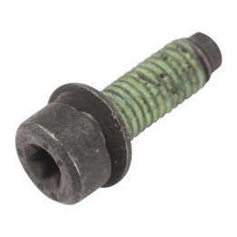 Screw for the tailgate lock 51995437