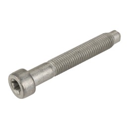 Vite M10x1,25x65 51906157