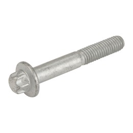Schraube für den Achsschenkel 50528794
