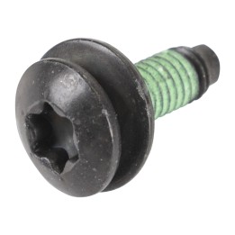 Screw for the sliding door 46819397