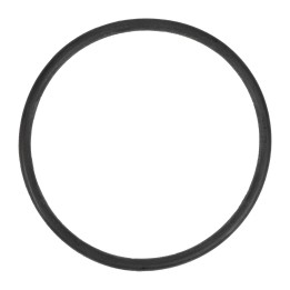 O-ring 55185954