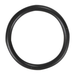 O-ring originale FCA (55216568)
