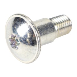 Tornillo M10 71734423
