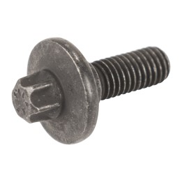 Screw 53112018