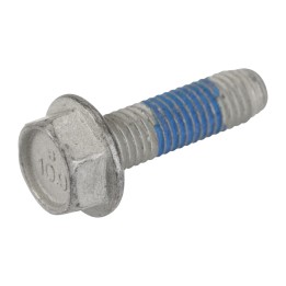 Vite K06509166AA