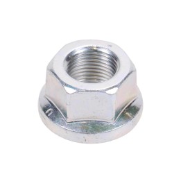 Écrou pour bras oscillant 10013381