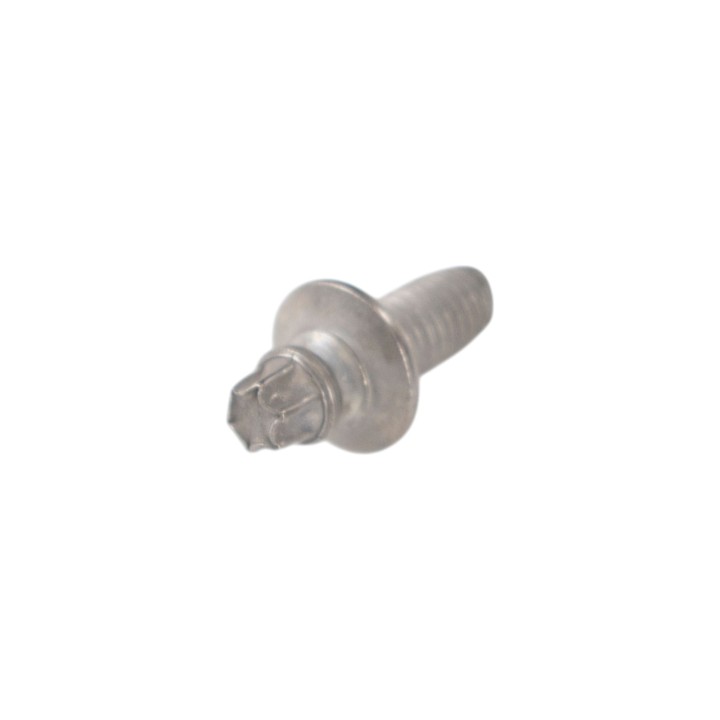 Special screw 690759