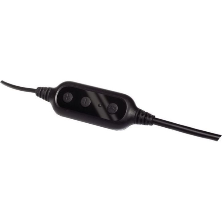 Pacchetto con cuffie Logitech PC960 e webcam C270