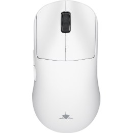 White Shark POMPEY WGM-9014, blanco