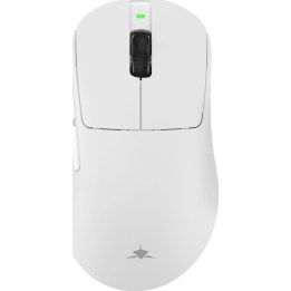 White Shark CAMILLUS WGM-9013, Weiß