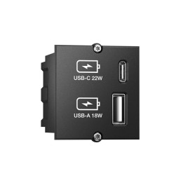 Bachmann USB A&C Charger Custom Module, Black, 917.227