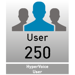 AGFEO HyperVoice 250 User License