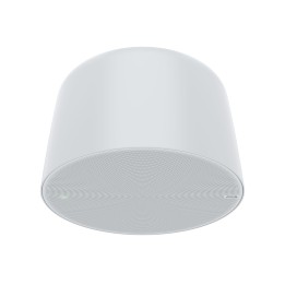 Axis C1510 Diffusore IP a sospensione all-in-one