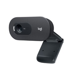 Logitech C505 HD-Webcam 1280x720 USB Graphit