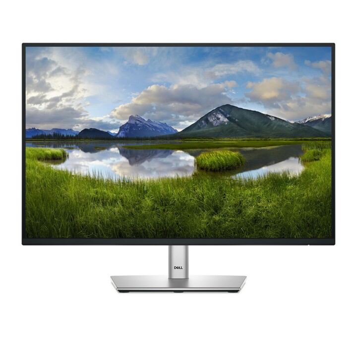 Monitor per computer DELL P2425