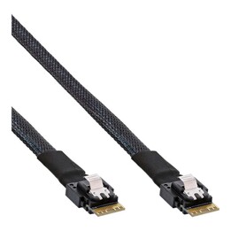 InLine 27642A Câble Slim SAS SFF-8654 vers SFF-8654 0,5 m