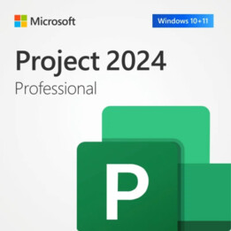 Microsoft Project Professional 2024 - Dauerlizenz für 1 Benutzer