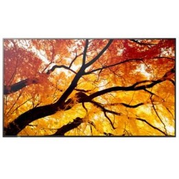 Sharp MultiSync® M752 Display professionale 75" 4K UHD