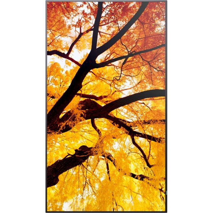Sharp MultiSync® M752 Profi-Display 75" 4K UHD