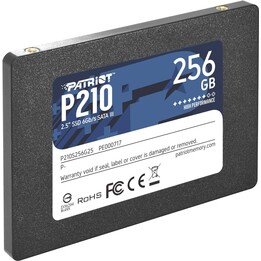 Memoria Patriot P210 2,5" 256 GB Serial ATA III