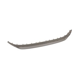 Front bumper trim strip 735805254